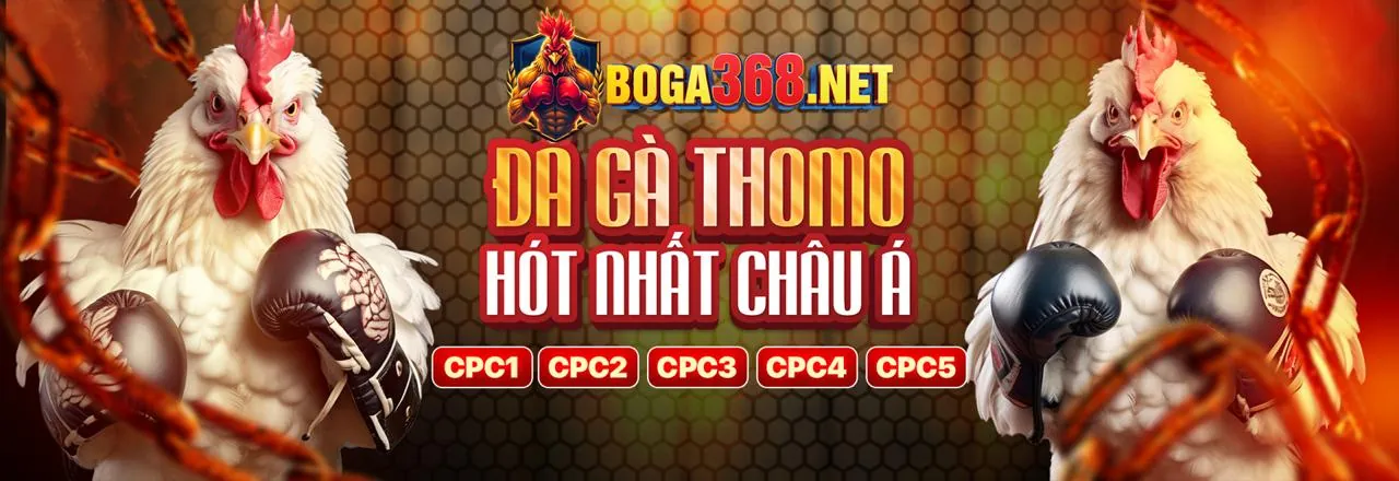 Đá Gà Trực Tuyến QQ8886